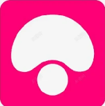 蘑菇短视频 - 热门内容速览